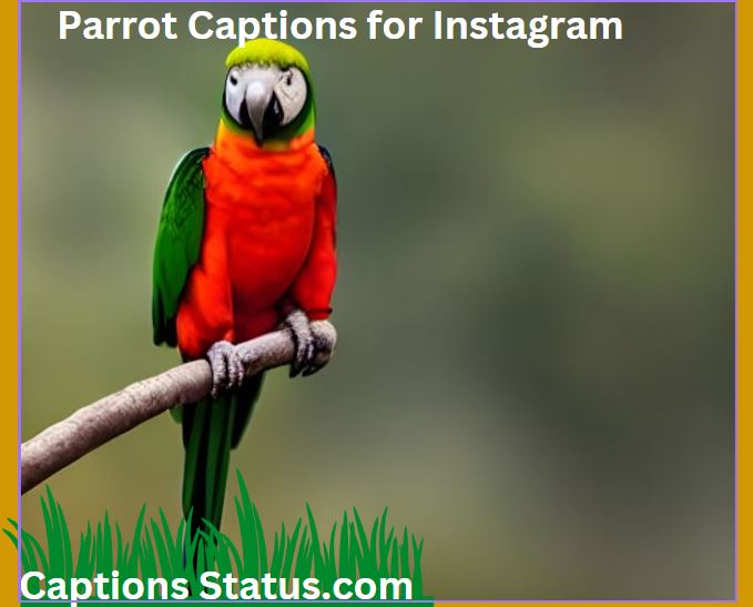 Parrot captions for Instagram