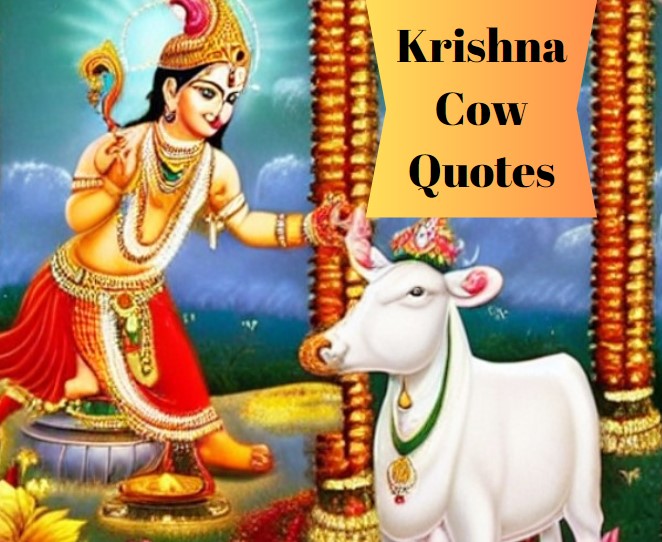 Krishna Cow Quotes