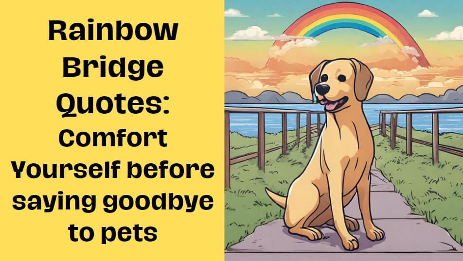 Rainbow Bridge Quotes