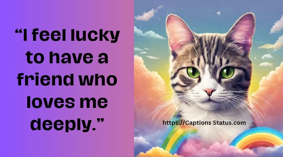 Rainbow Bridge Quotes & Sayings For Cat