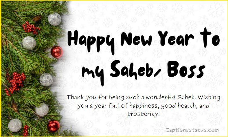 New Year Wishes for Saheb