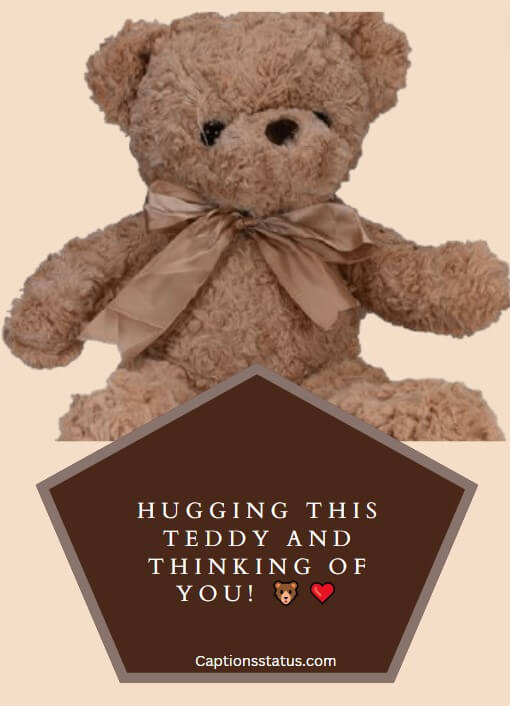 Best Teddy Bear Captions For Instagram