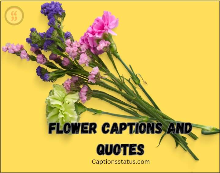 Flower Captions and Quotes: Different Flowers image with yellow background