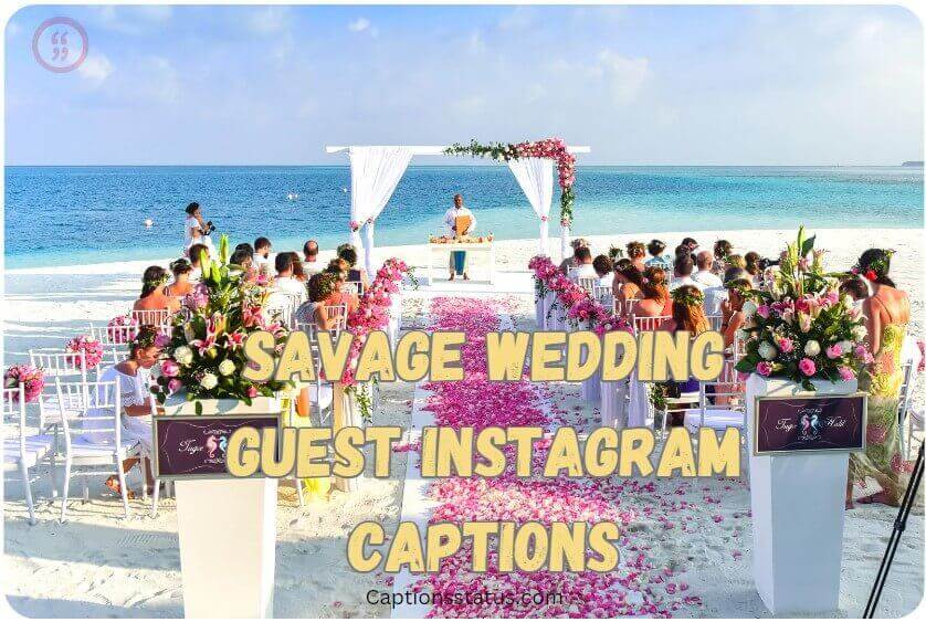 Savage Wedding Guest Instagram Captions