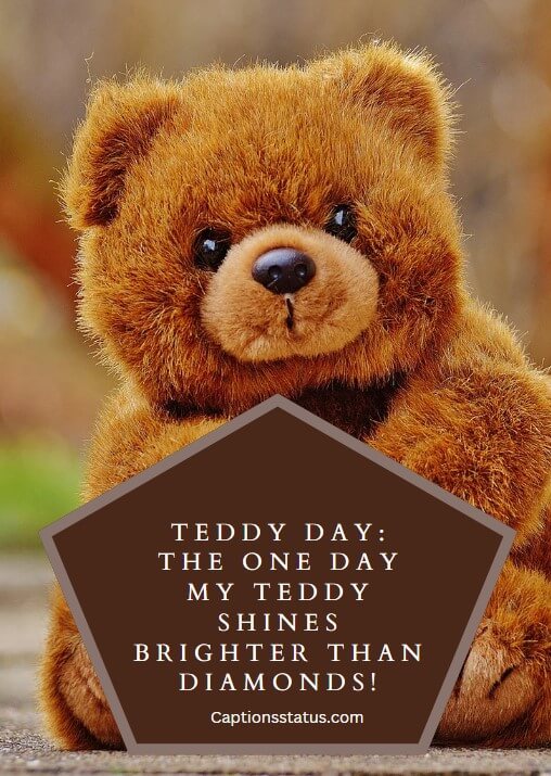  Teddy Day Captions for Instagram for Girl