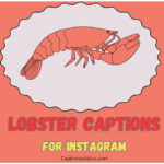 Lobster Captions