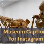 Museum Captions for Instagram And Quotes
