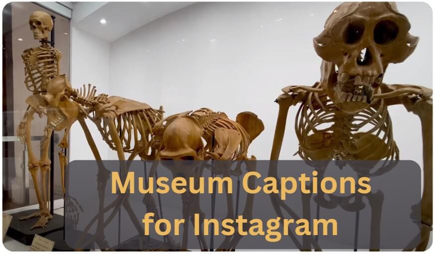 Museum Captions for Instagram And Quotes